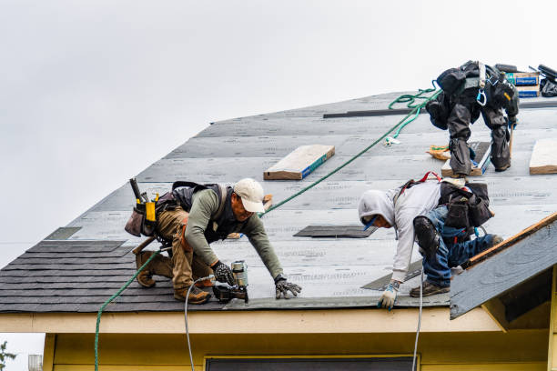 Professional Flat Roof Repair technician working in Hamilton, MO